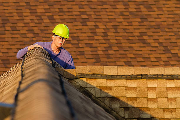 Best Metal Roofing Contractor  in Newton, IL