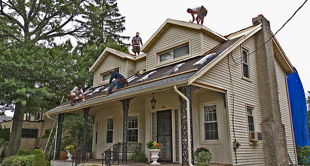 Best Best Roofing Contractors  in Newton, IL
