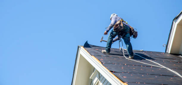 Best Storm Damage Roof Repair  in Newton, IL